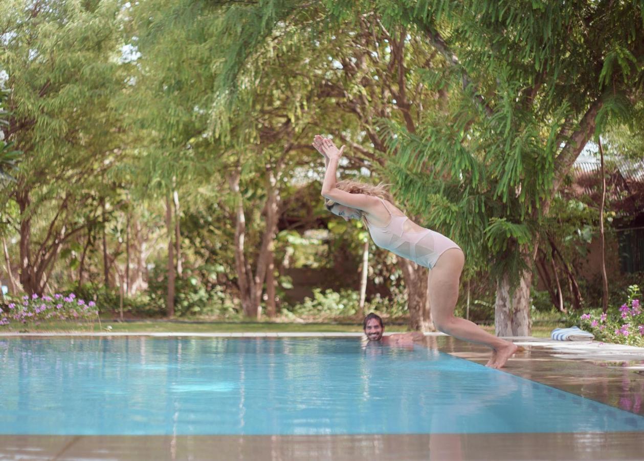 Pushkarorganic - Lux Farm Resort With Pool Экстерьер фото