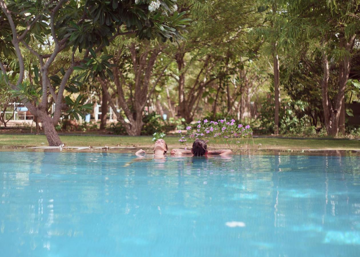 Pushkarorganic - Lux Farm Resort With Pool Экстерьер фото