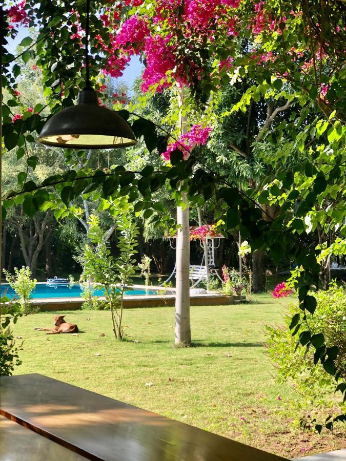Pushkarorganic - Lux Farm Resort With Pool Экстерьер фото