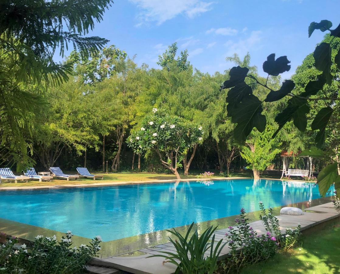 Pushkarorganic - Lux Farm Resort With Pool Экстерьер фото