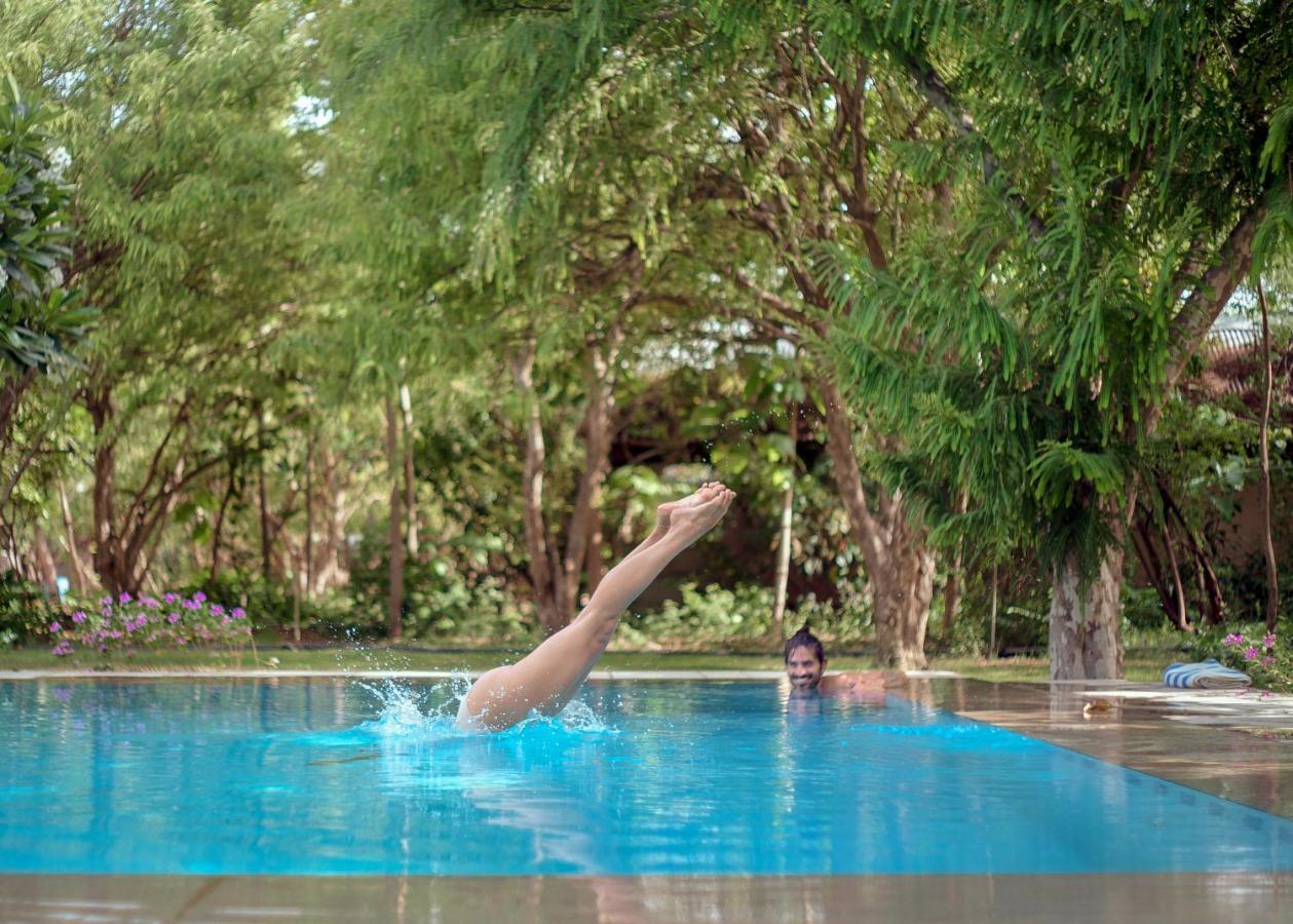 Pushkarorganic - Lux Farm Resort With Pool Экстерьер фото