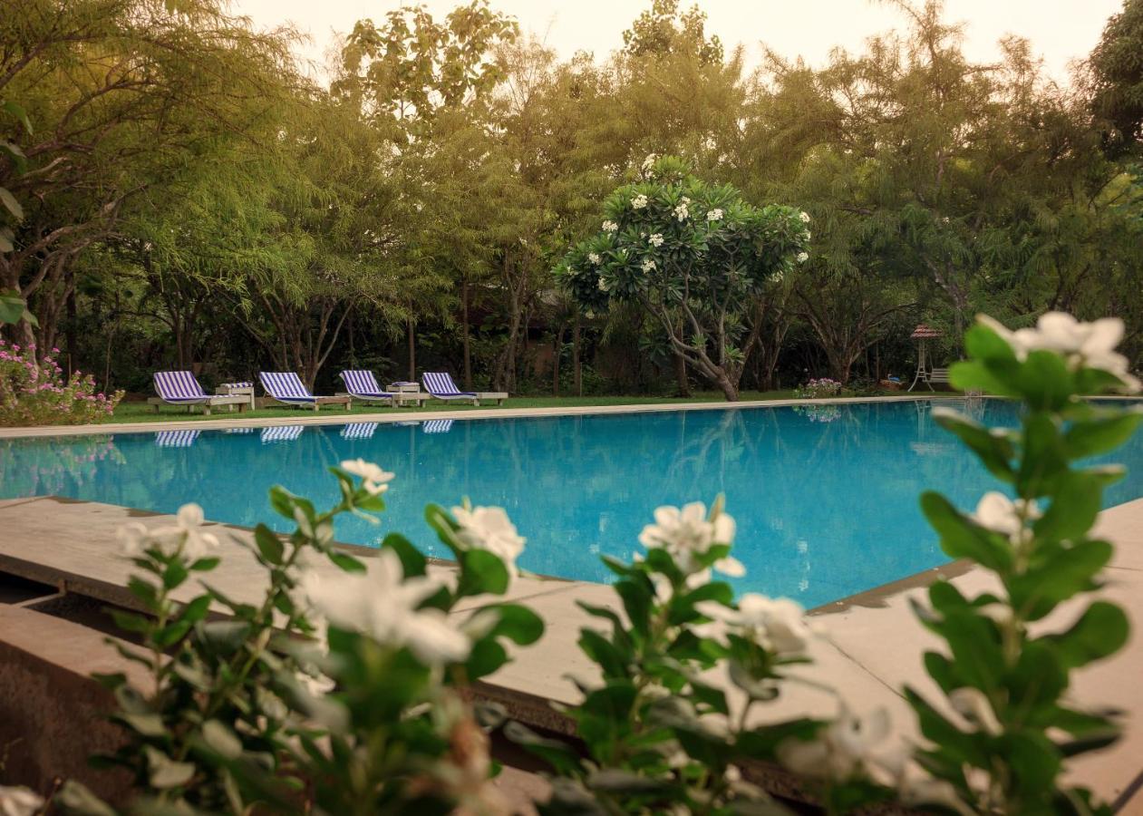 Pushkarorganic - Lux Farm Resort With Pool Экстерьер фото